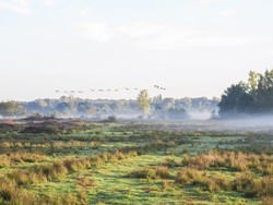 Mechels Broek